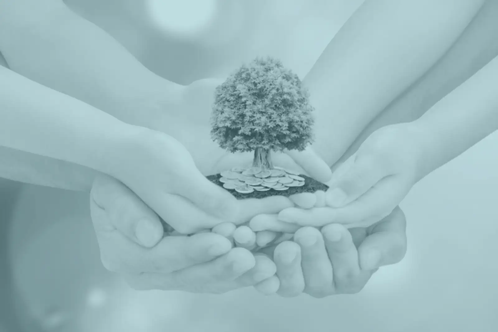 Green bond ou obligation verte finançant des projets environnementaux