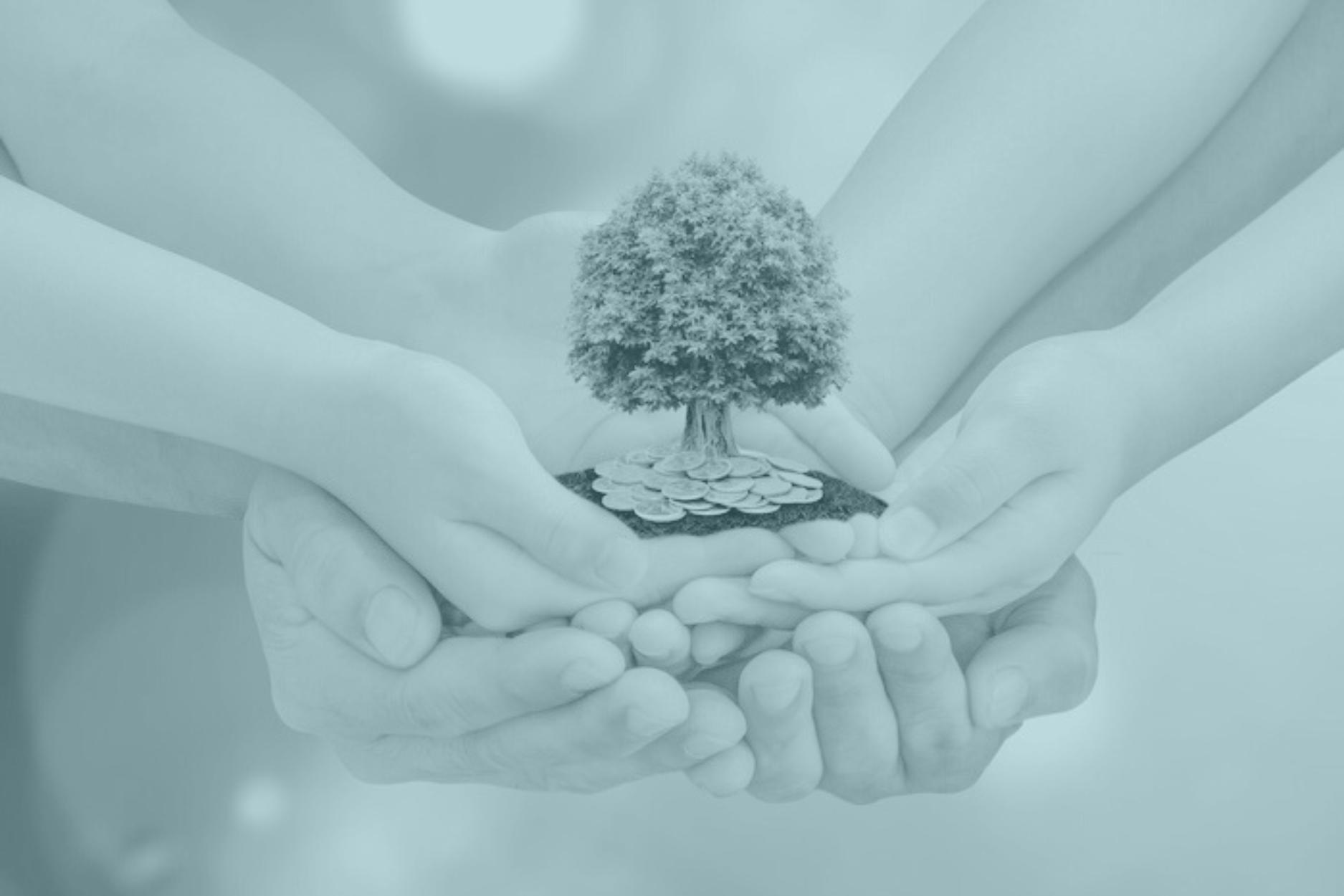 Pourquoi est-il avantageux de posséder une holding patrimoniale ? - Hexa patrimoine