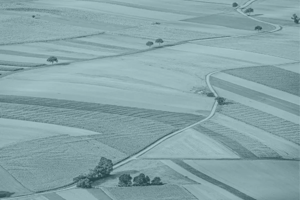 Marché des terres agricoles avec Terres Invest