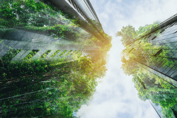 ESG et Investissement Responsable